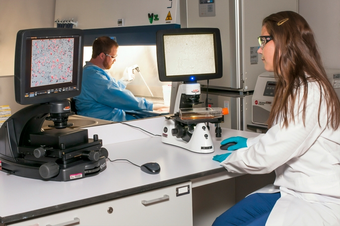 how-to-design-lab-data-management-in-your-medical-laboratory