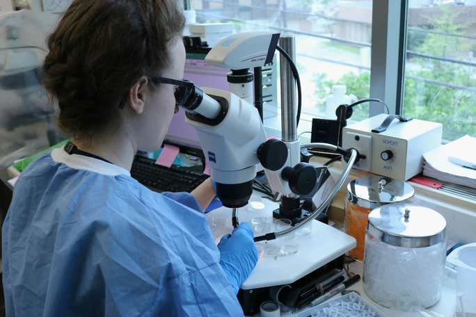 how-lims-helps-mid-size-biopharma-and-life-science-companies-scale-efficiently