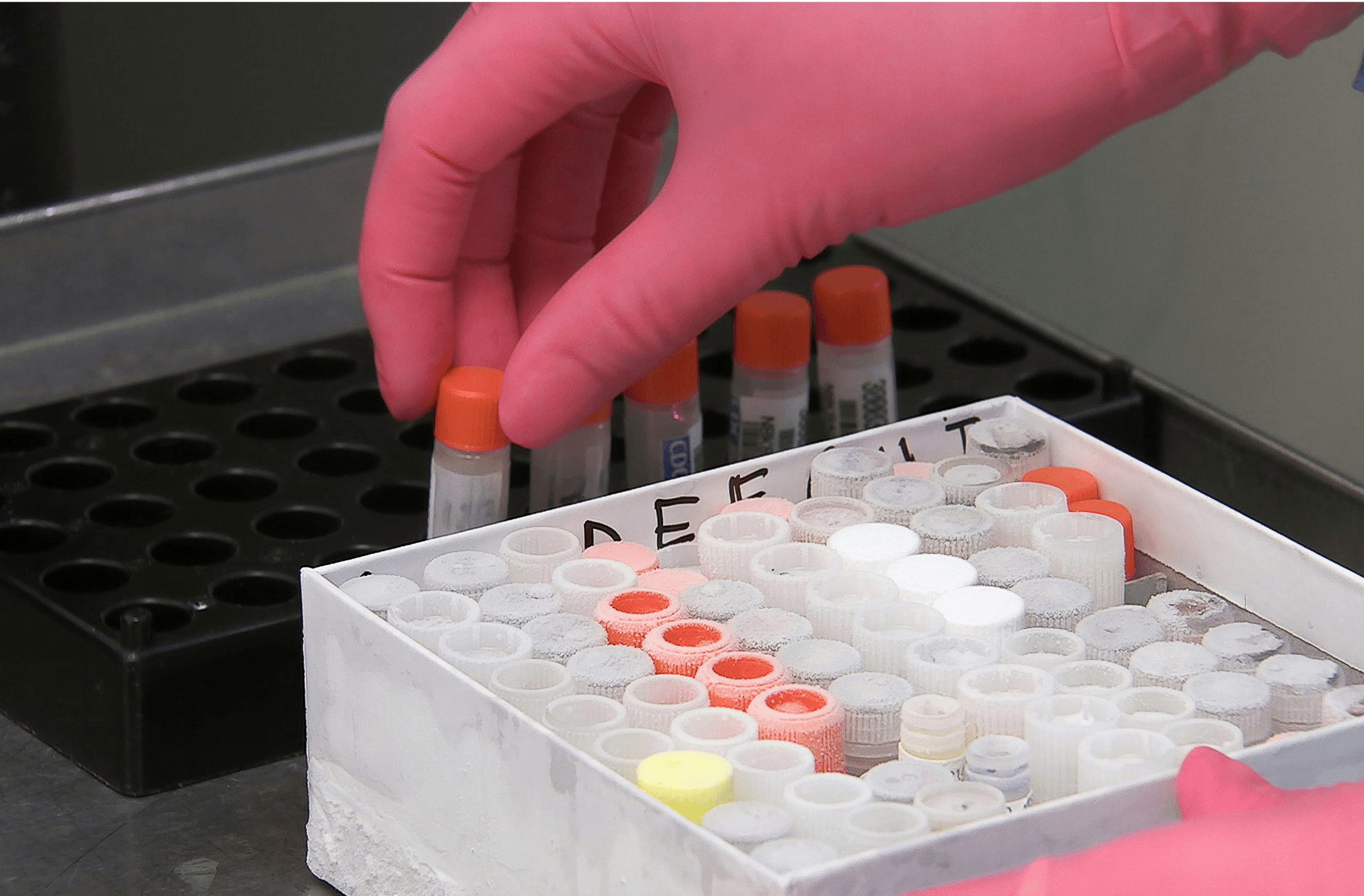 scientist handling test tubes